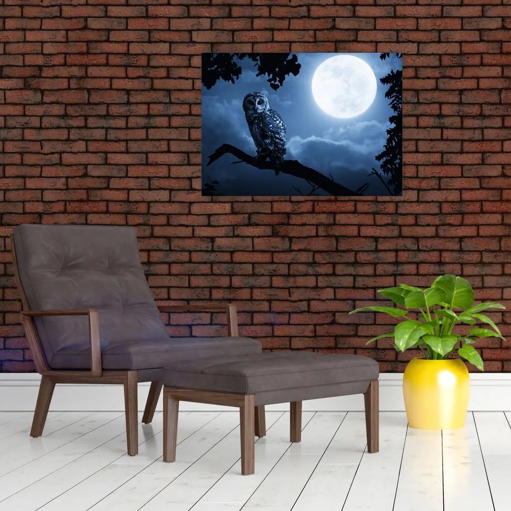 Obraz na szkle - Nocna Sowa (70x50 cm)