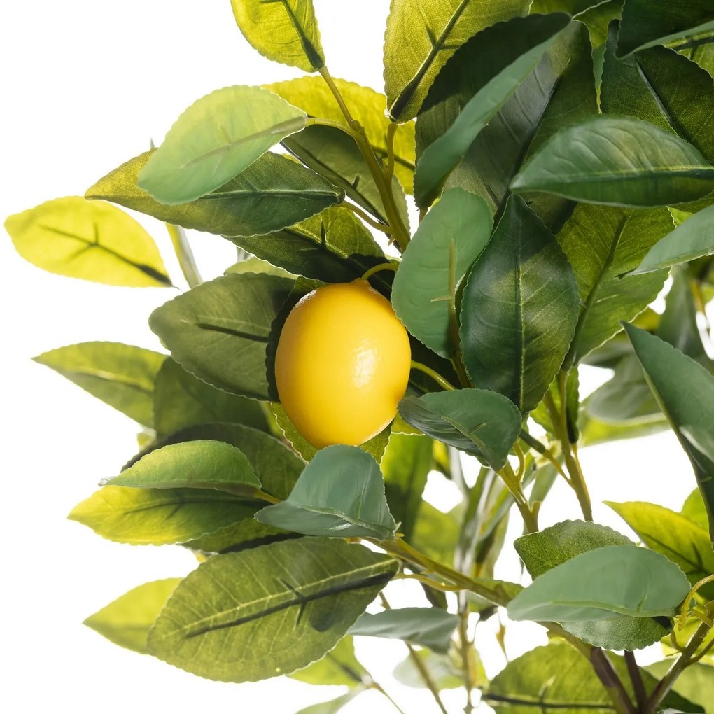 Drzewko Cytrynowe 146cm
