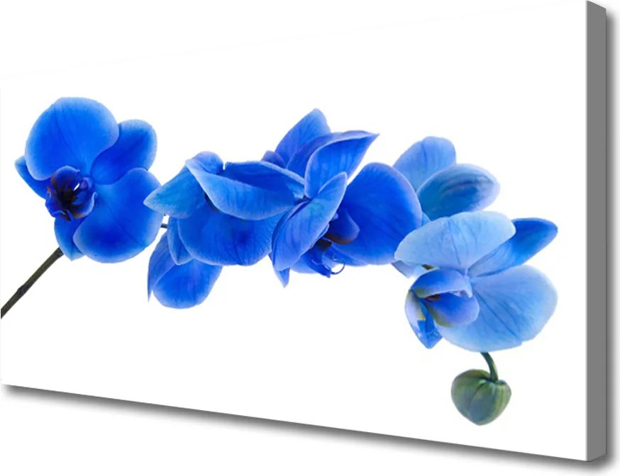 Obraz canvas Delikatność Roślinnej Formy