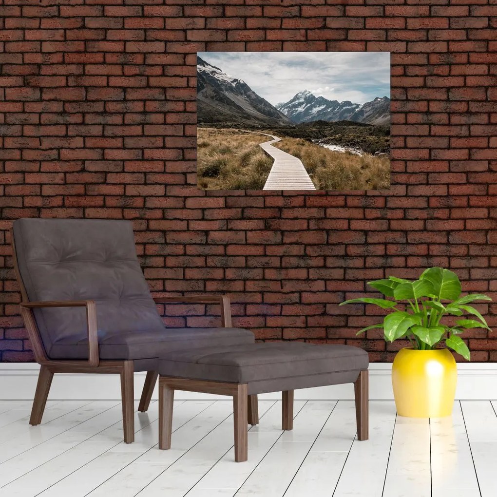 Obraz - Chodnik w dolinie góry Mt. Cook (70x50 cm)