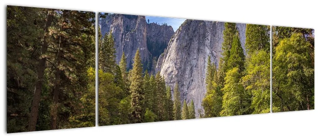 Obraz - Pod Yosemite Rock (170x50 cm)