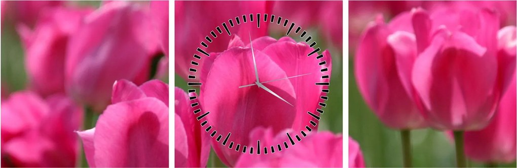 Obraz - Różowe tulipany (z zegarem) (90x30 cm)