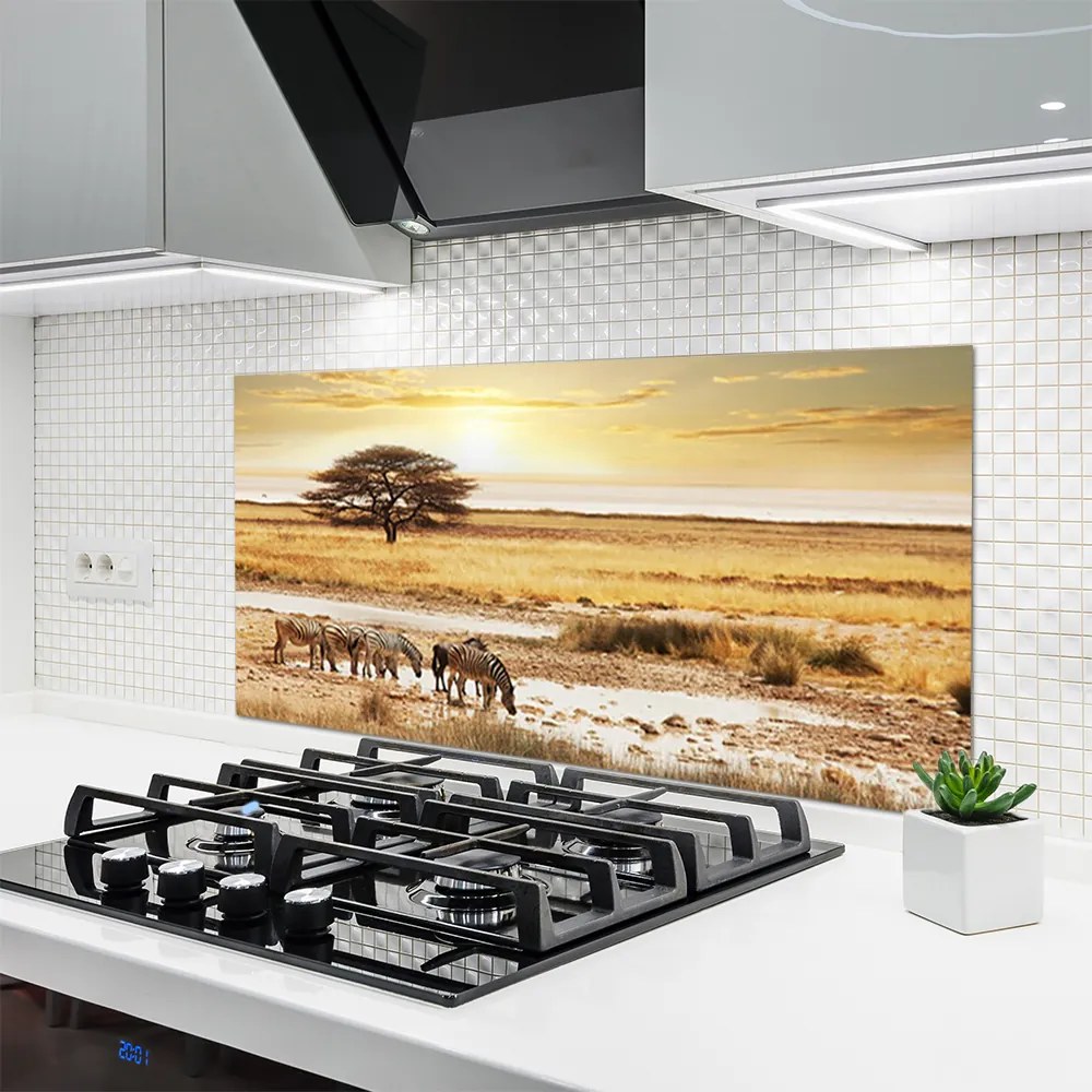 Panel Kuchenny Zebry Na Afrykańskiej Sawannie