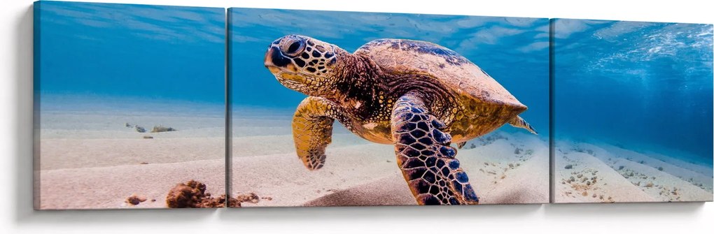 Obraz żółwia w oceanie (170x50 cm)