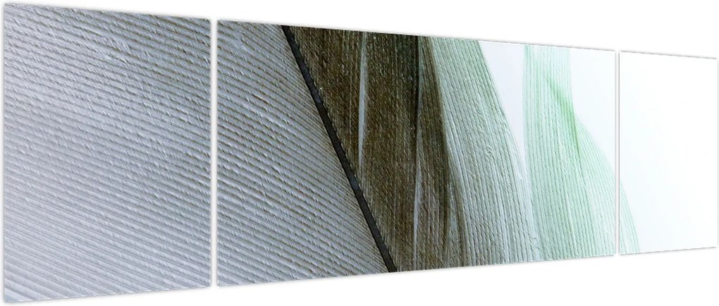 Obraz - Pióra, makro (170x50 cm)