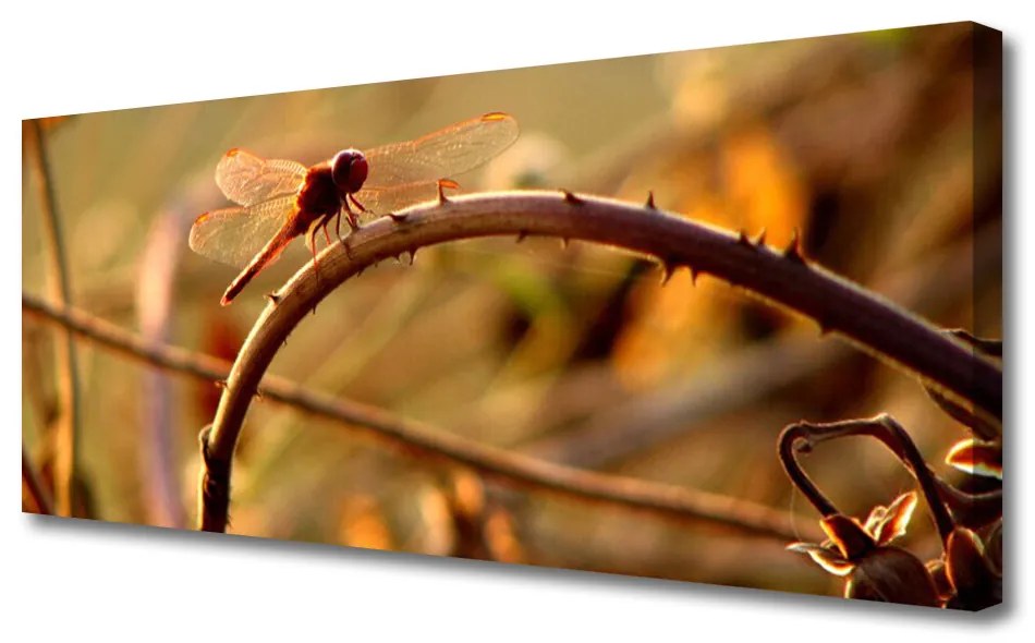 Obraz na Płótnie Ważka Natura Roślina