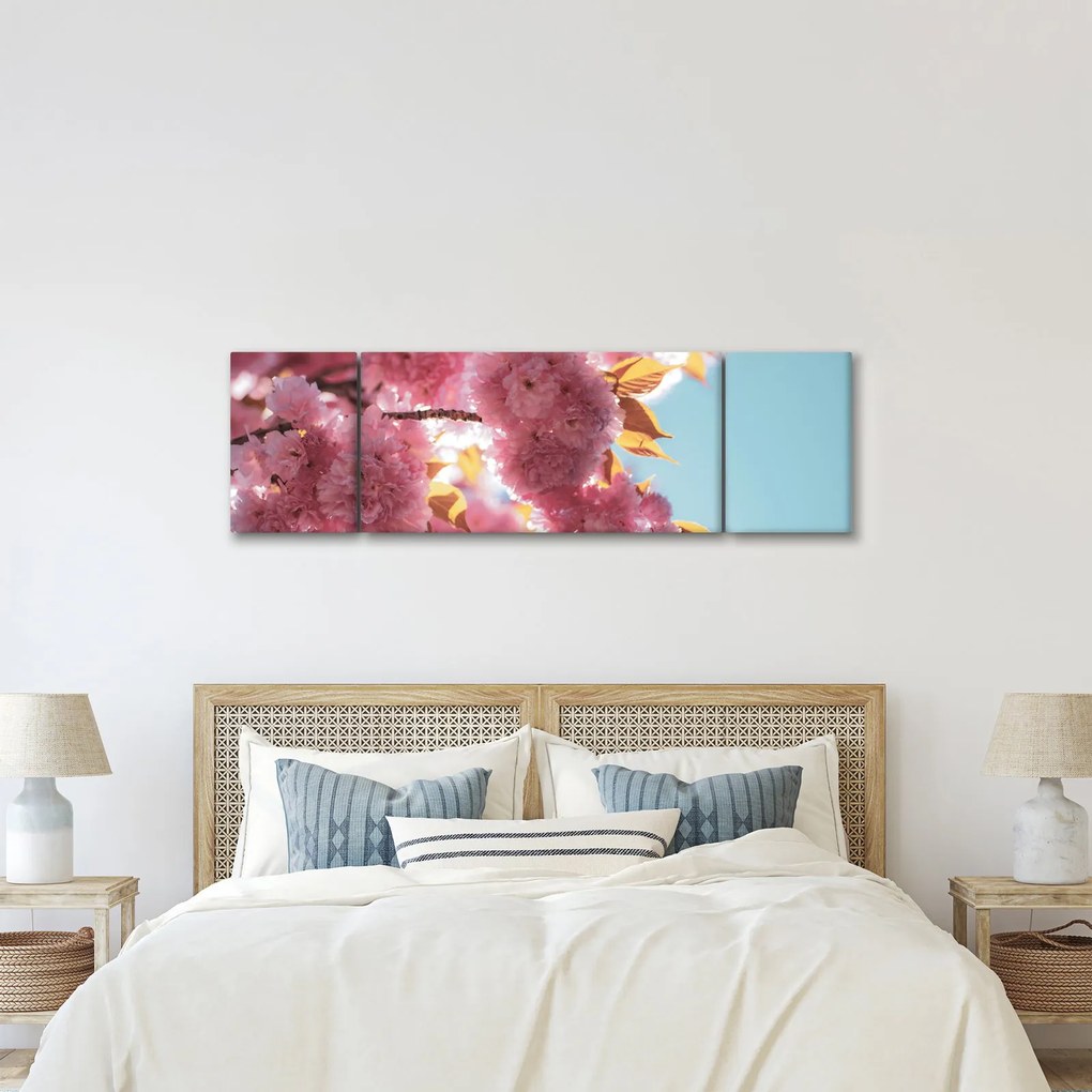 Obraz - Kwiat wiśni (170x50 cm)
