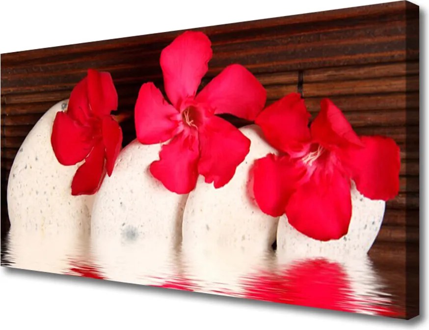 Zdjęcie na płótnie Kwiaty na Ciemnych Kamieniach