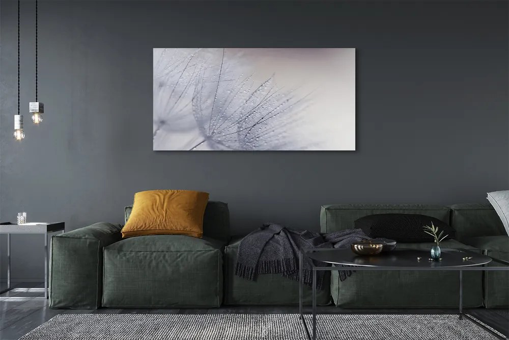 Duży obraz na płótnie Dmuchawce w Porannej Rosie