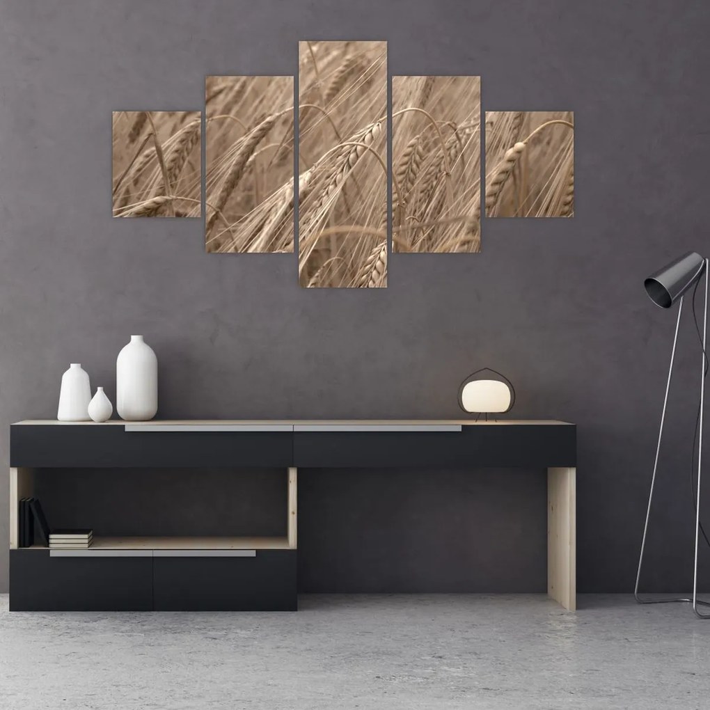 Obraz - Złote pole (125x70 cm)