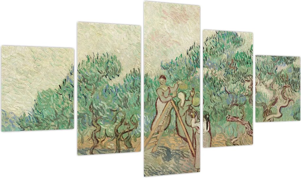 Obraz - Vincent van Gogh, The Olive Orchard, reprodukcje (125x70 cm)