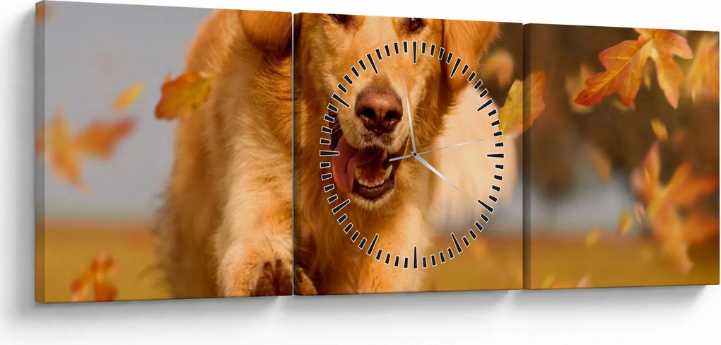 Obraz - Golden Retriever (z zegarem) (90x30 cm)