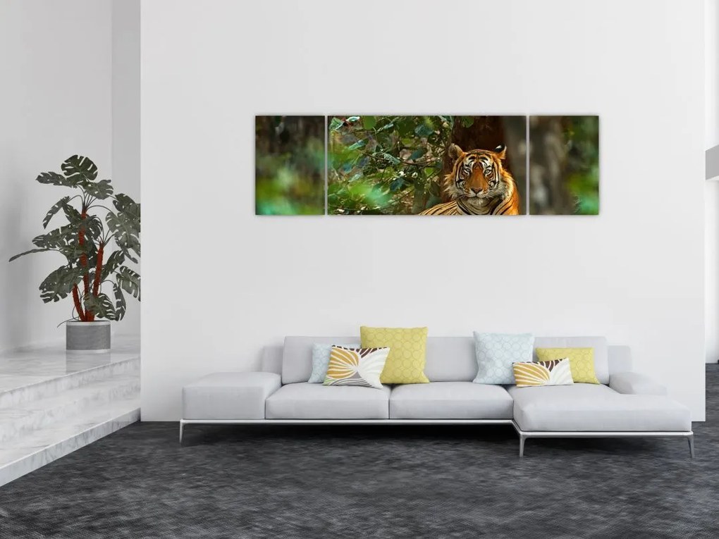 Obraz odpoczywającego tygrysa (170x50 cm)