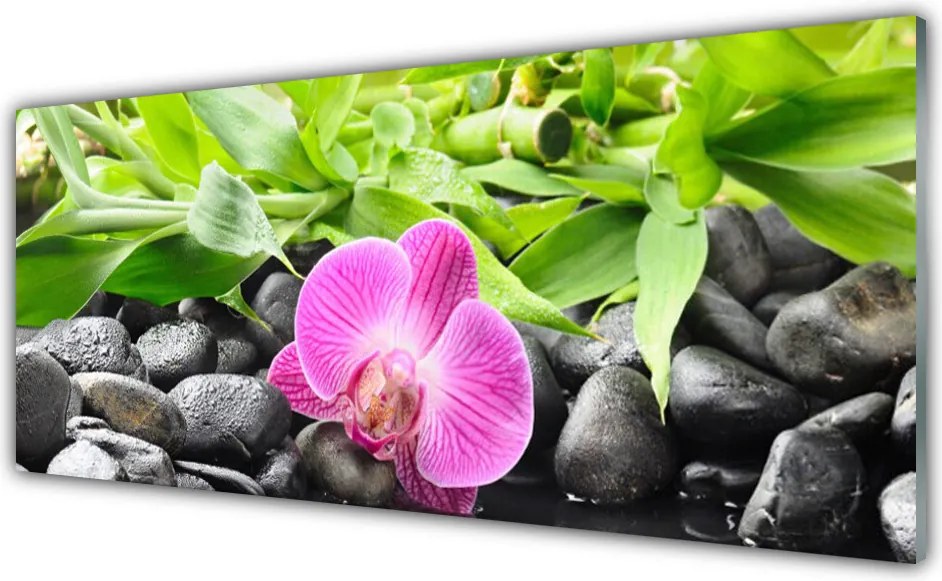 Szkło Dekoracyjne do Kuchni Wyrafinowana Orchidea Doniczkowa