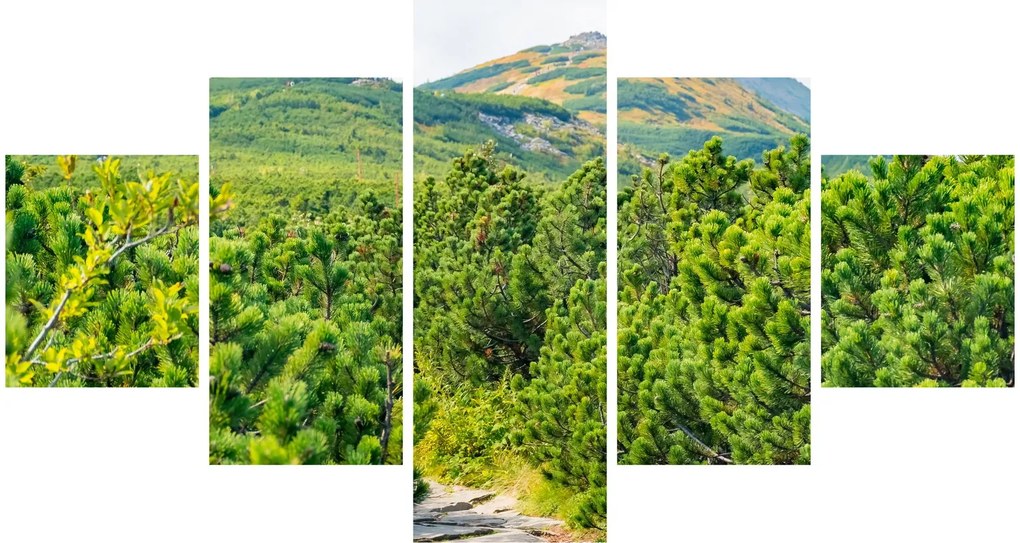 Obraz - Babia Góra, Polska (125x70 cm)