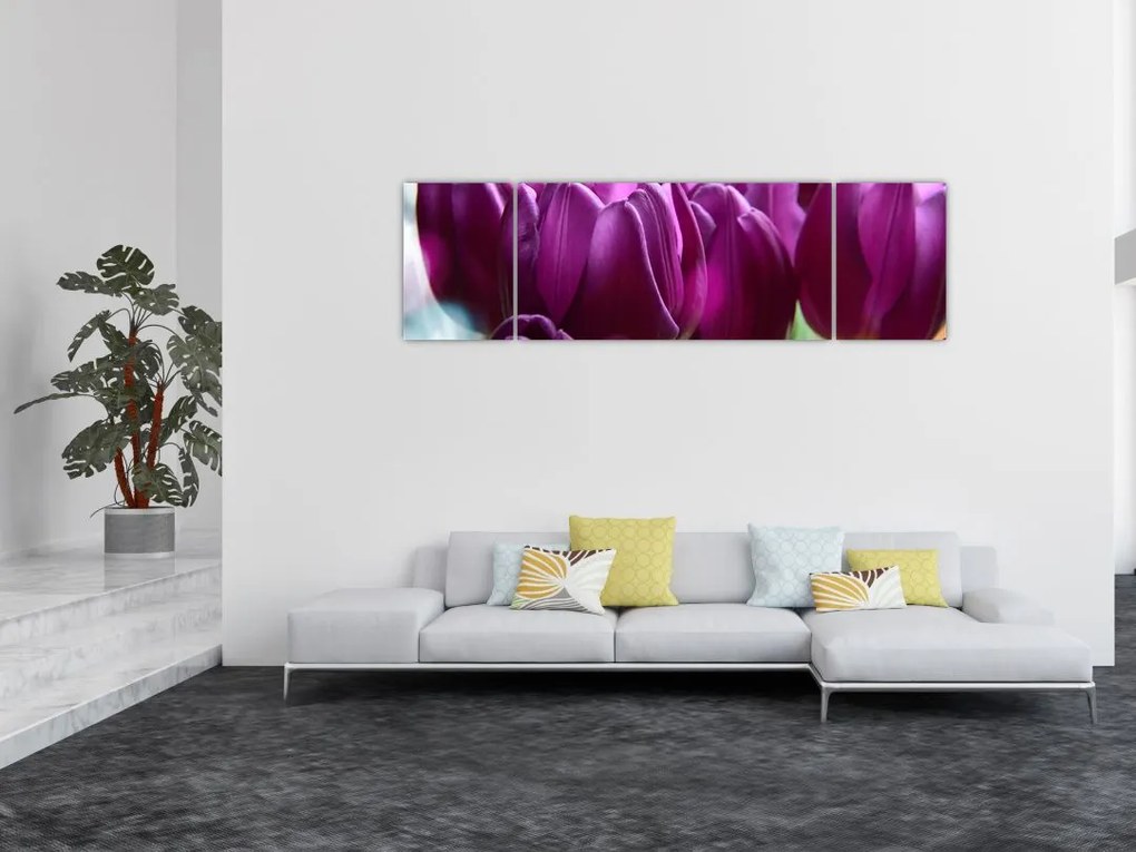 Obraz tulipanów (170x50 cm)