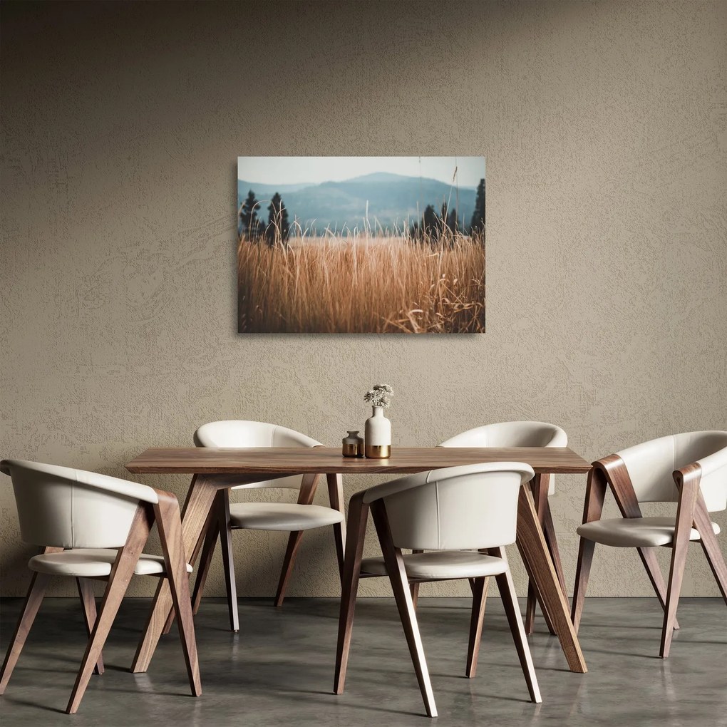 Obraz na szkle - szczegół łąki (70x50 cm)