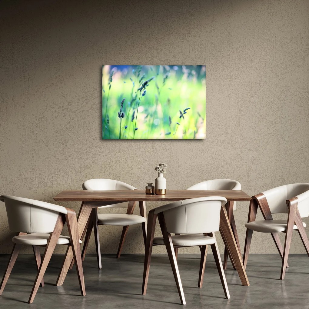 Obraz - Szczegół łąki (70x50 cm)
