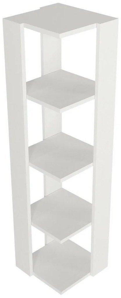 Biblioteczka Venita White