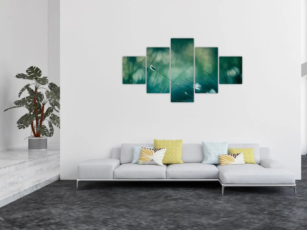 Obraz - Szczegół trawy (125x70 cm)