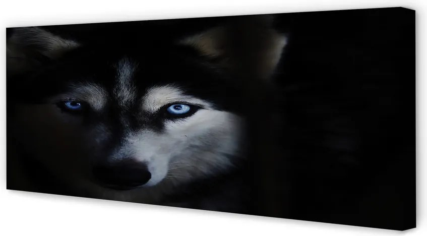 Obraz na płótnie Spojrzenie Wilka