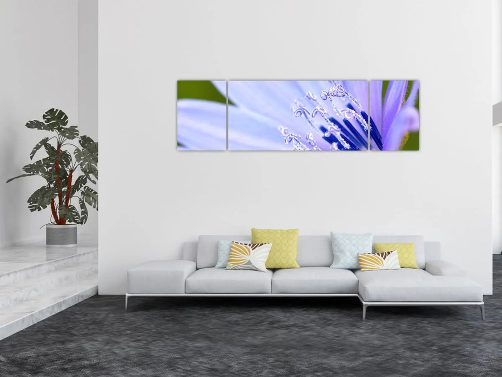Obraz - Kwiat (170x50 cm)