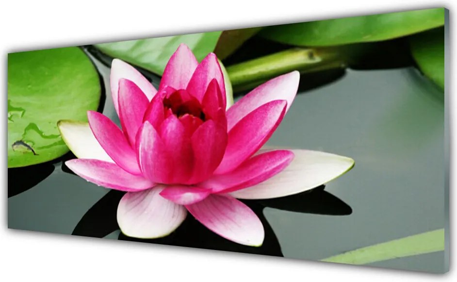 Panel nad blat kuchenny Subtelna Natura w Kwiatach