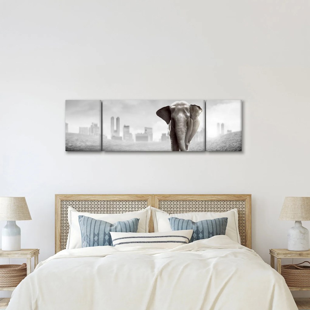 Obraz - Słonie w wielkim mieście, wersja czarno - biała (170x50 cm)