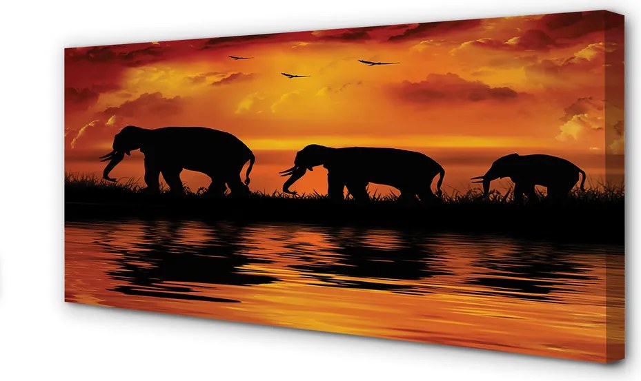 Zdjęcie na płótnie Słonie nad Jeziorem o Zachodzie