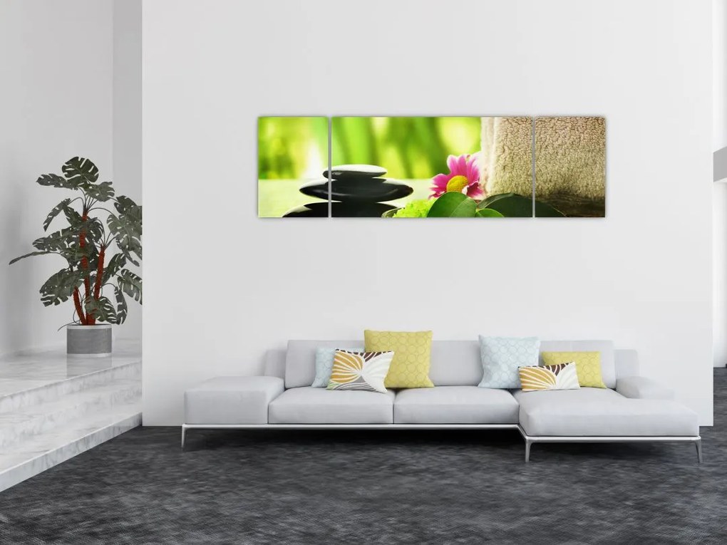 Obraz narzędzi do masażu (170x50 cm)