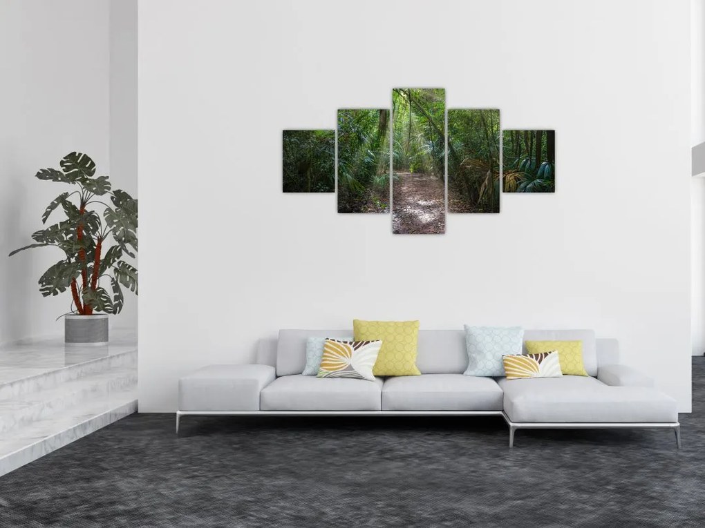 Obraz - Promienie słońca w dżungli (125x70 cm)
