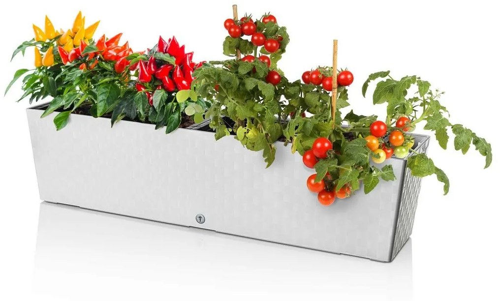 Flower Lover Donica samonawadniająca Supreme biały, 75 cm, 75 cm