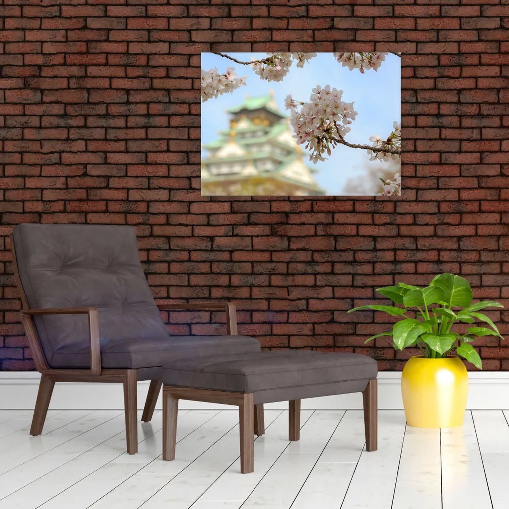 Obraz - Sakura (70x50 cm)