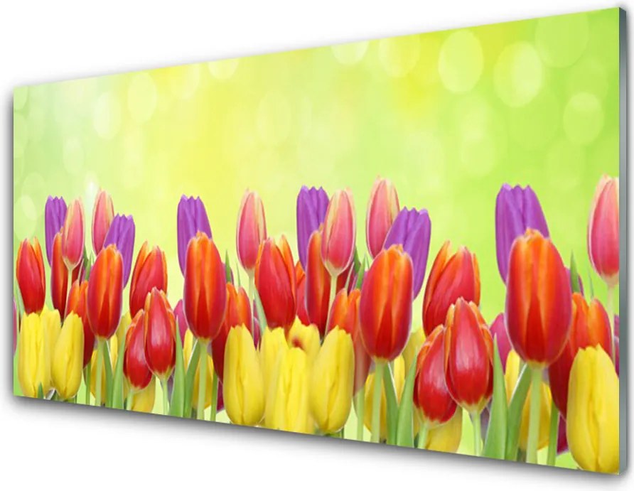 Panel Szklany Klasyczne Holenderskie Tulipany
