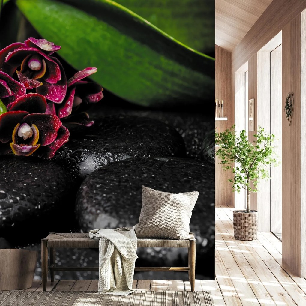 Fototapeta - Orchidea i kamienie (196x136 cm)