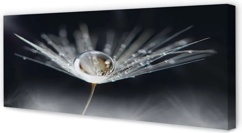 Obraz drukowany na płótnie Kryształowy Dmuchawiec w Makro