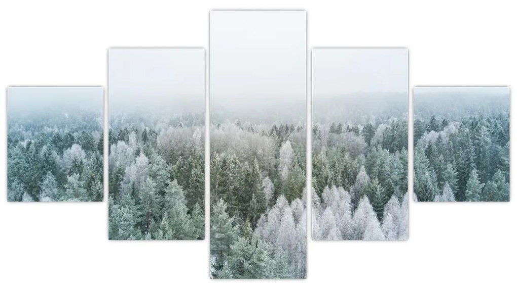 Obraz - Ośnieżone szczyty lasów (125x70 cm)
