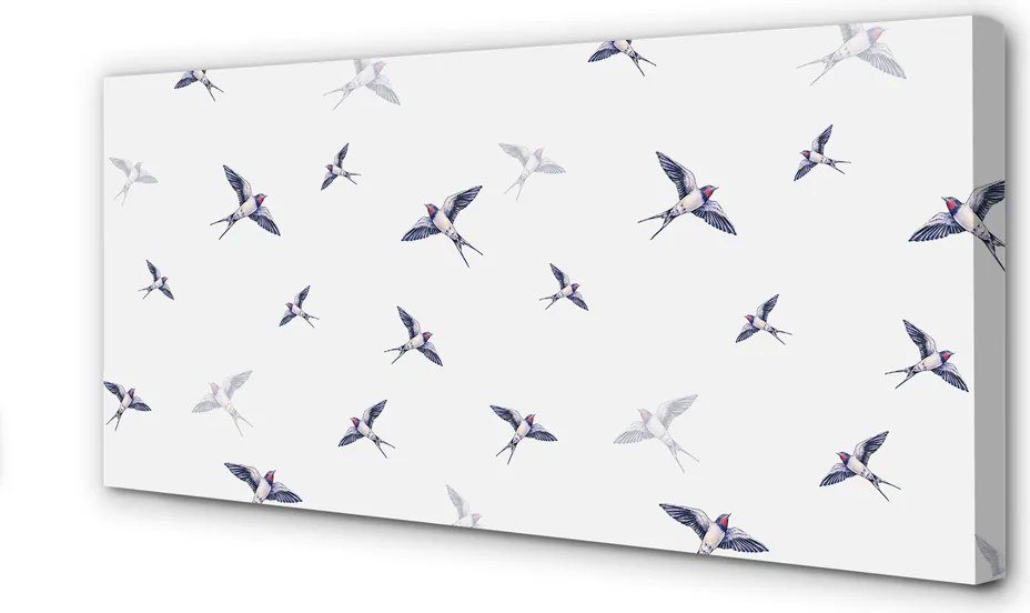 Obraz drukowany na płótnie Kwiaty i Ptaki