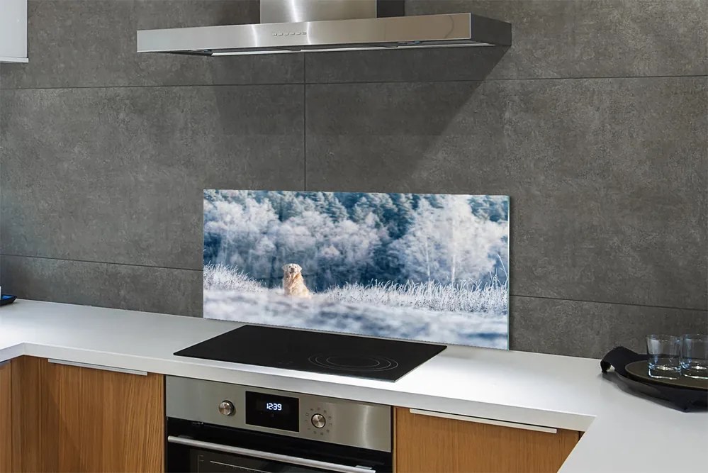 Szklany Panel Pies w Zimowych Górach