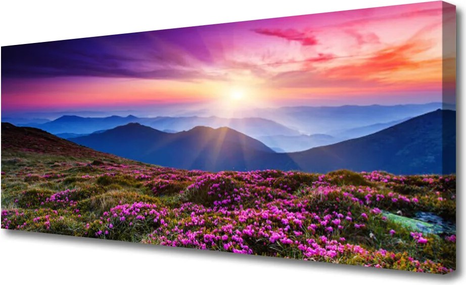 Fotoobraz na płótnie Kwiatowa Polana w Górach
