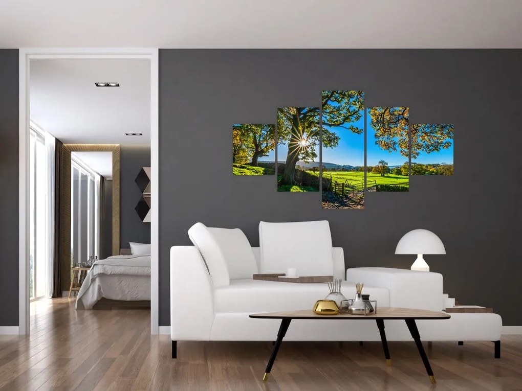 Obraz - widok pola (125x70 cm)