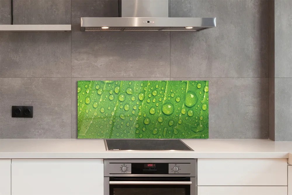 Szklany Panel Makro Detal Liścia z Rosą