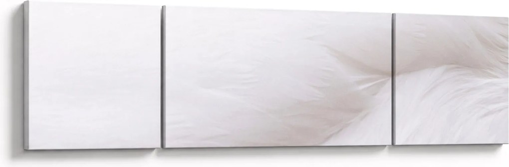 Obraz - Białe pióro (170x50 cm)
