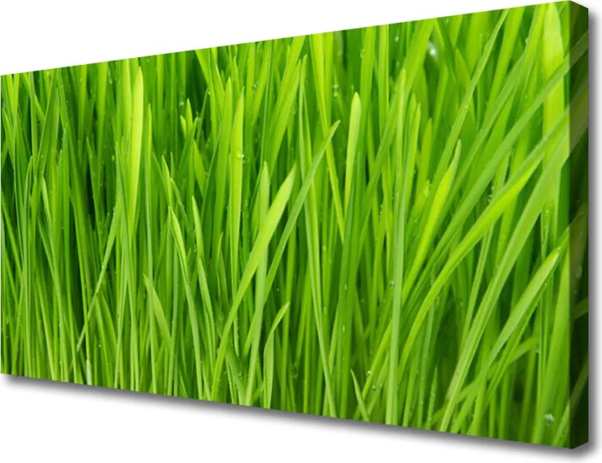 Obraz na płótnie Naturalna Tekstura Zieleni