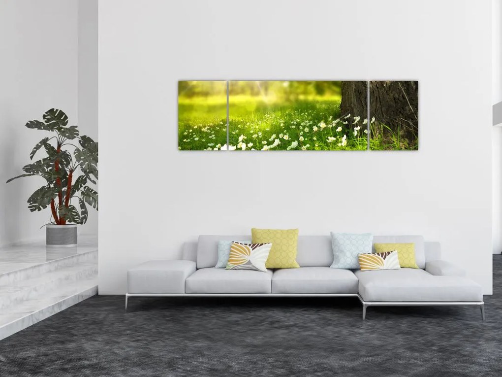 Obraz polany i kwiatów (170x50 cm)