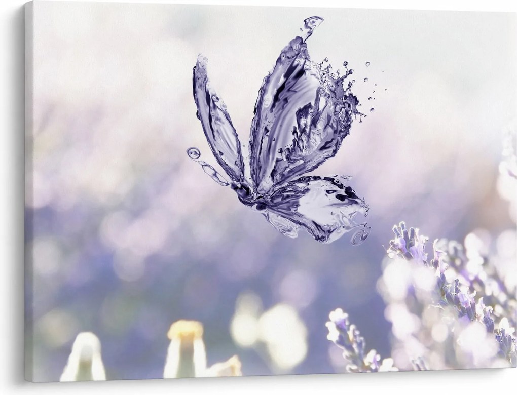 Obraz - Motyl i lawenda (70x50 cm)