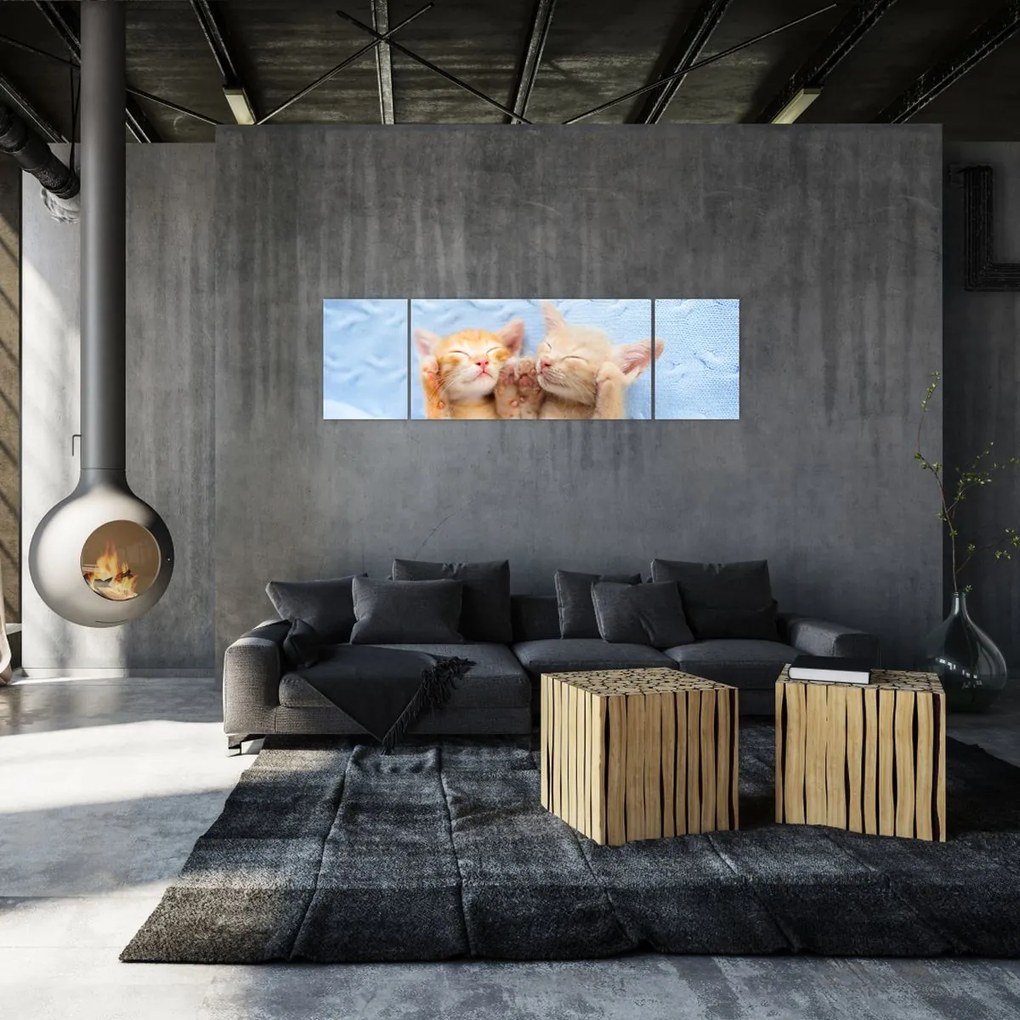 Obraz - Śpiące kocięta (170x50 cm)
