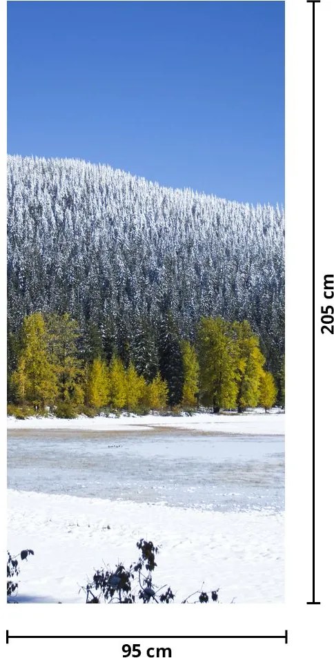 Fototapeta na drzwi - Śnieżne góry zimą (95x205cm)