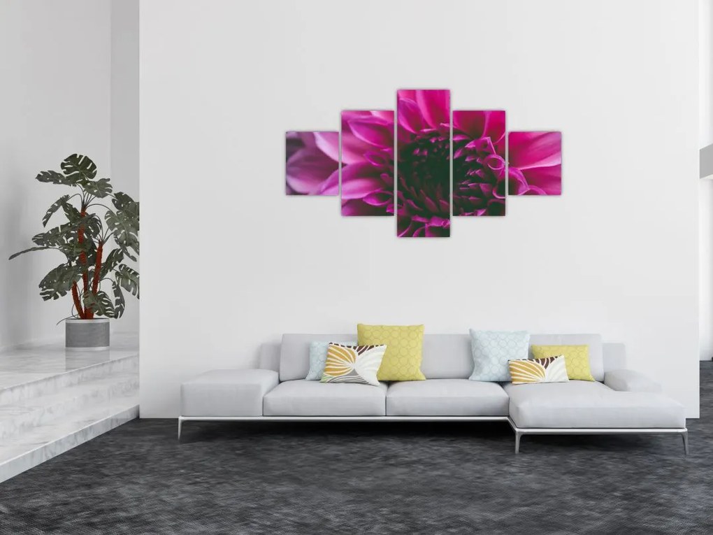 Obraz różowego kwiatu róży (125x70 cm)