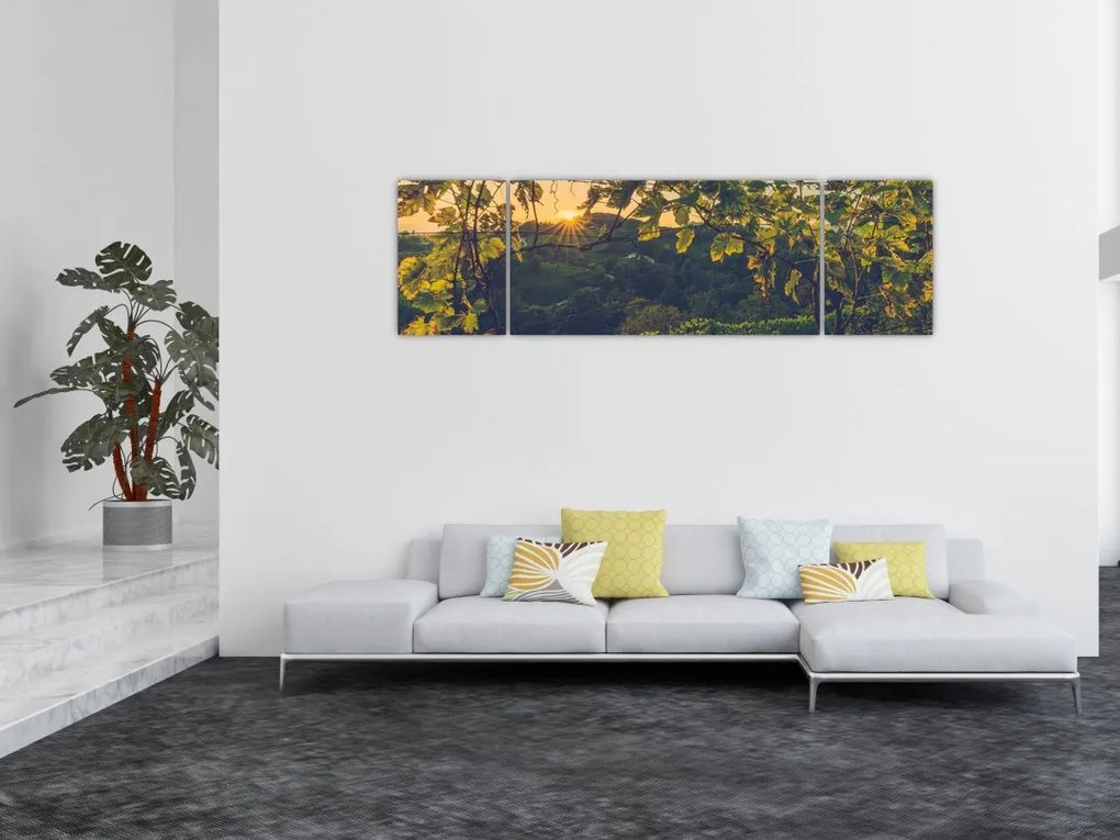 Obraz - Winnica (170x50 cm)